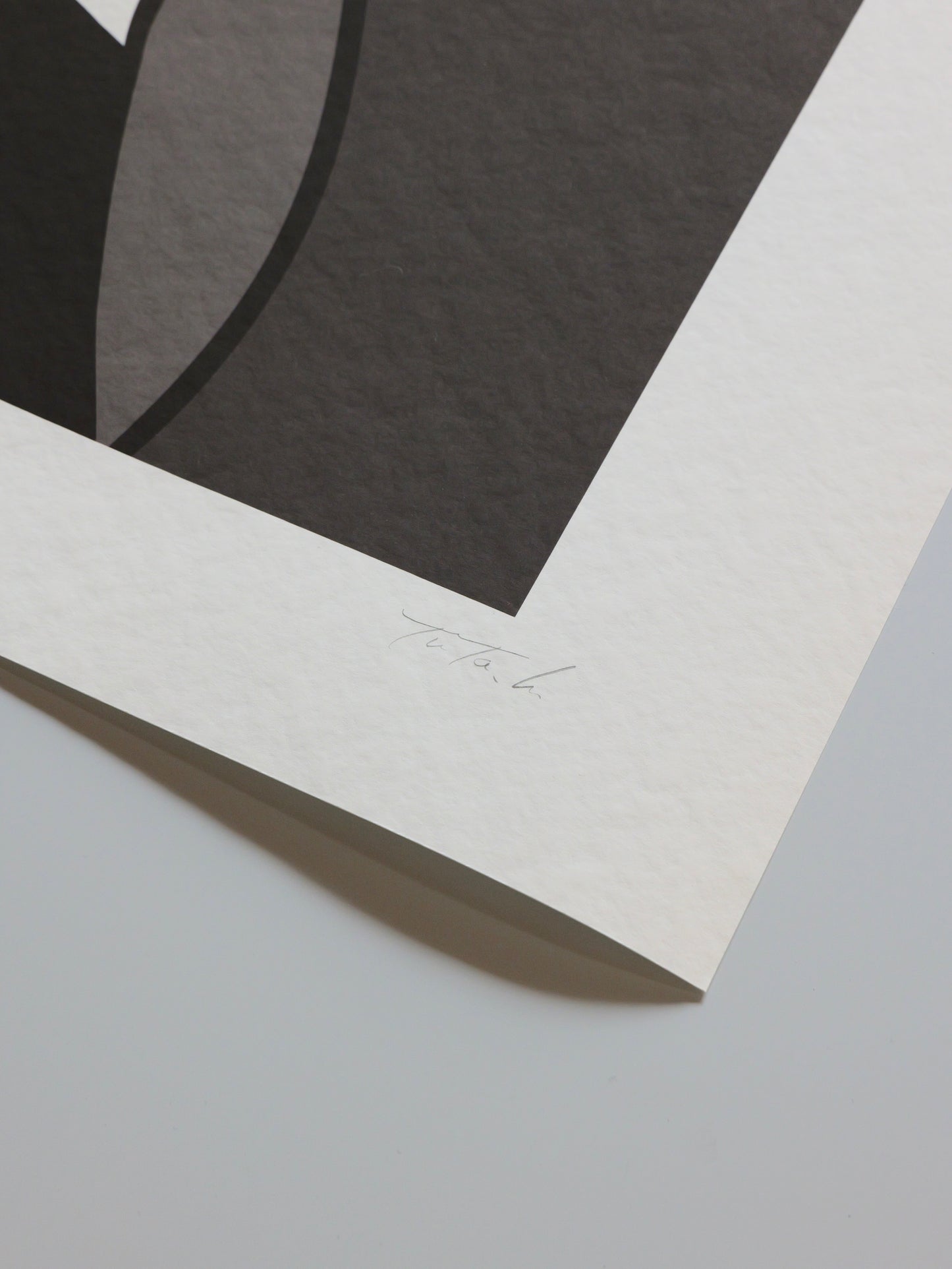YUYA HASHIZUME monochrome eyewater print