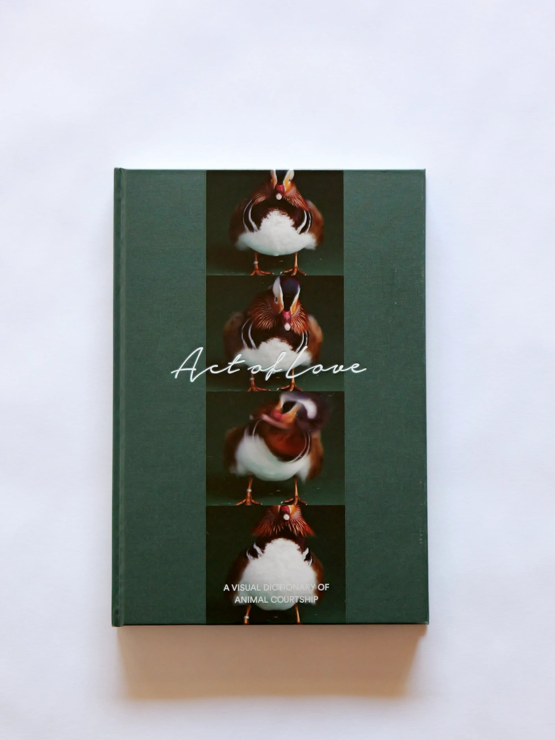 P1038902.webp?v=1731741180&