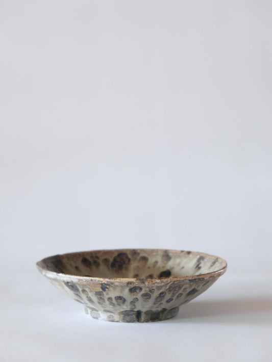 小野 象平 / SHOHEI ONO – ippatsu